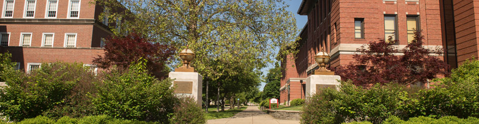 image of campus buildings and greenery